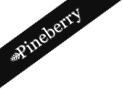 Pineberry